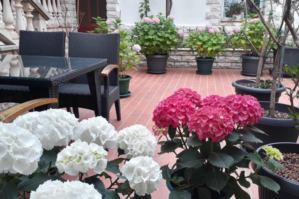 Apartment Eli Pag Town Luaran gambar