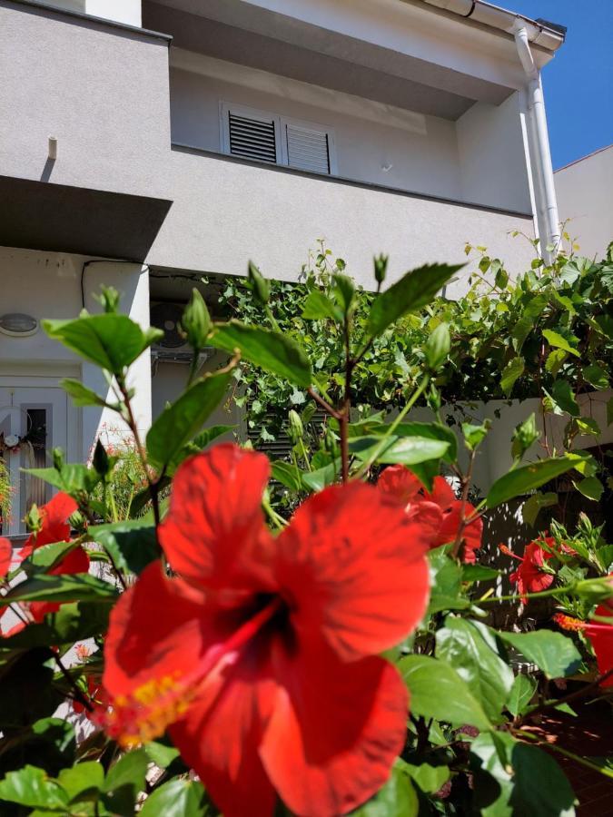 Apartment Eli Pag Town Luaran gambar